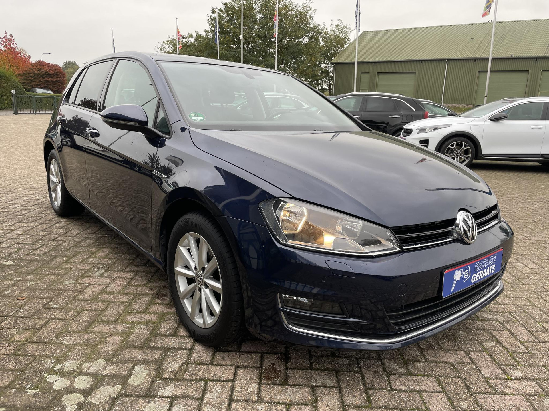 48132329-6.jpg