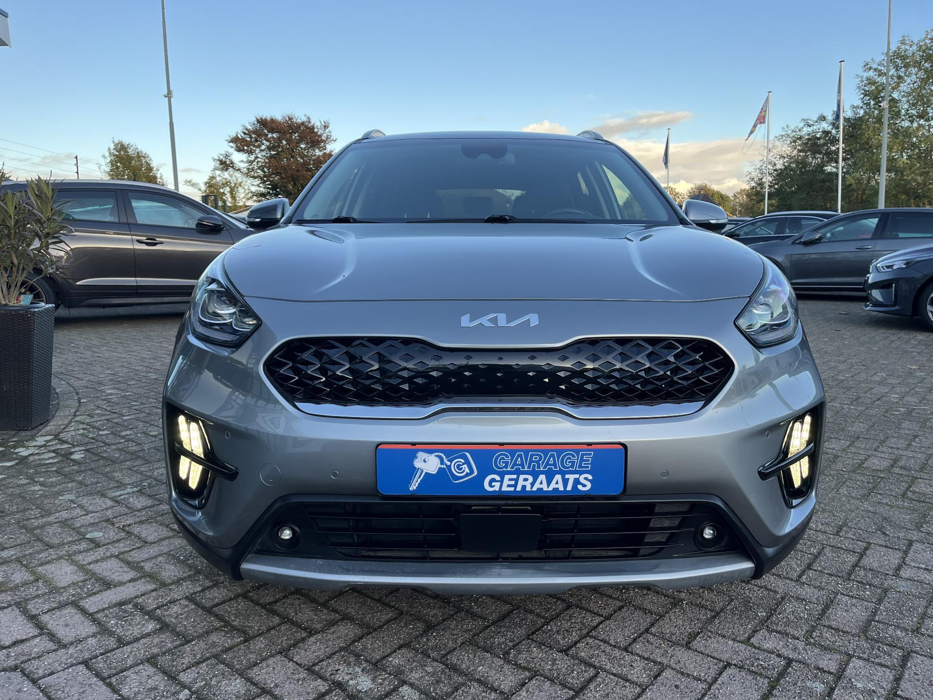 48580533-3.jpg